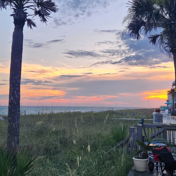 Meet your Posher, Kelly - Picture 3 of 4